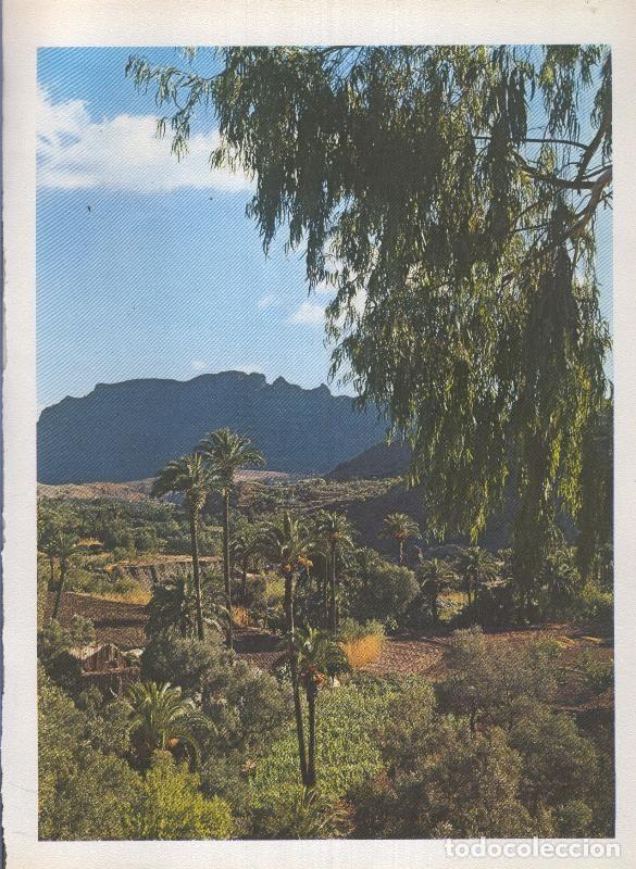 Postais: Gran Canaria: Lamina 42: Crater Los Tiraxanas - Varios