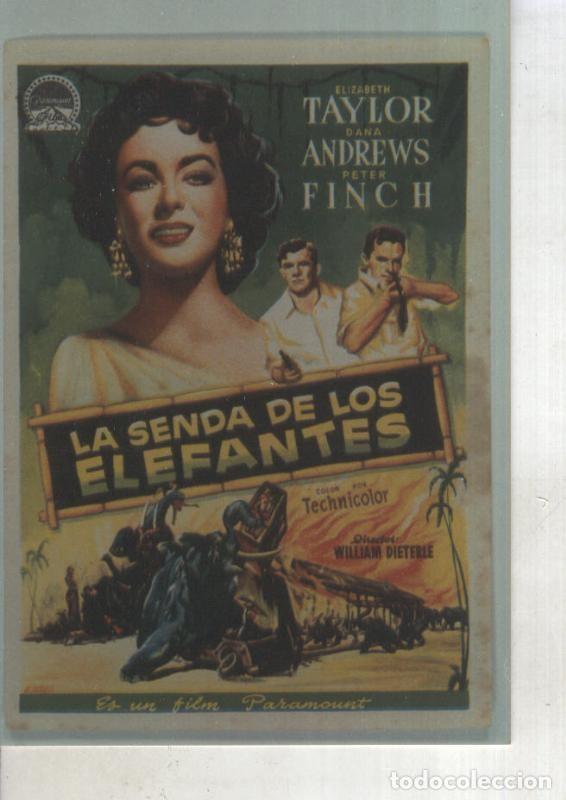 Cartoline: Foto cine 444: La senda de los elefantes (Elizabeth Taylor) - Varios