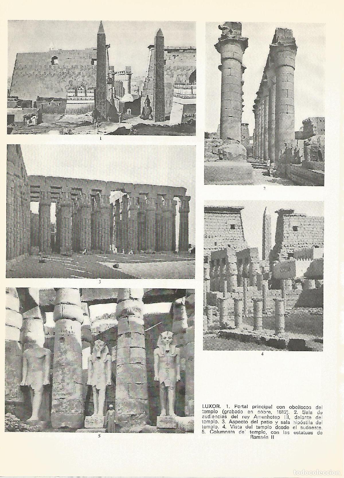 Postkarten: Lamina 106: Luxor - Varios