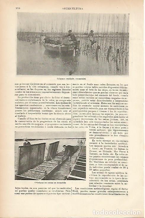 Postcards: LAMINA ESPASA 7779: Criadero de ostras en Arcachon Francia - Varios