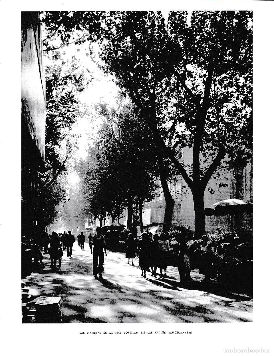 Cartoline: LAMINA 6319: Las Ramblas la mas popular de las calles Barcelonesas - Jose Pla