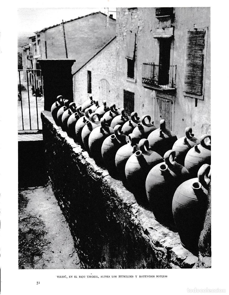 Postales: LAMINA 6463: Botijos en Verdu - Jose Pla