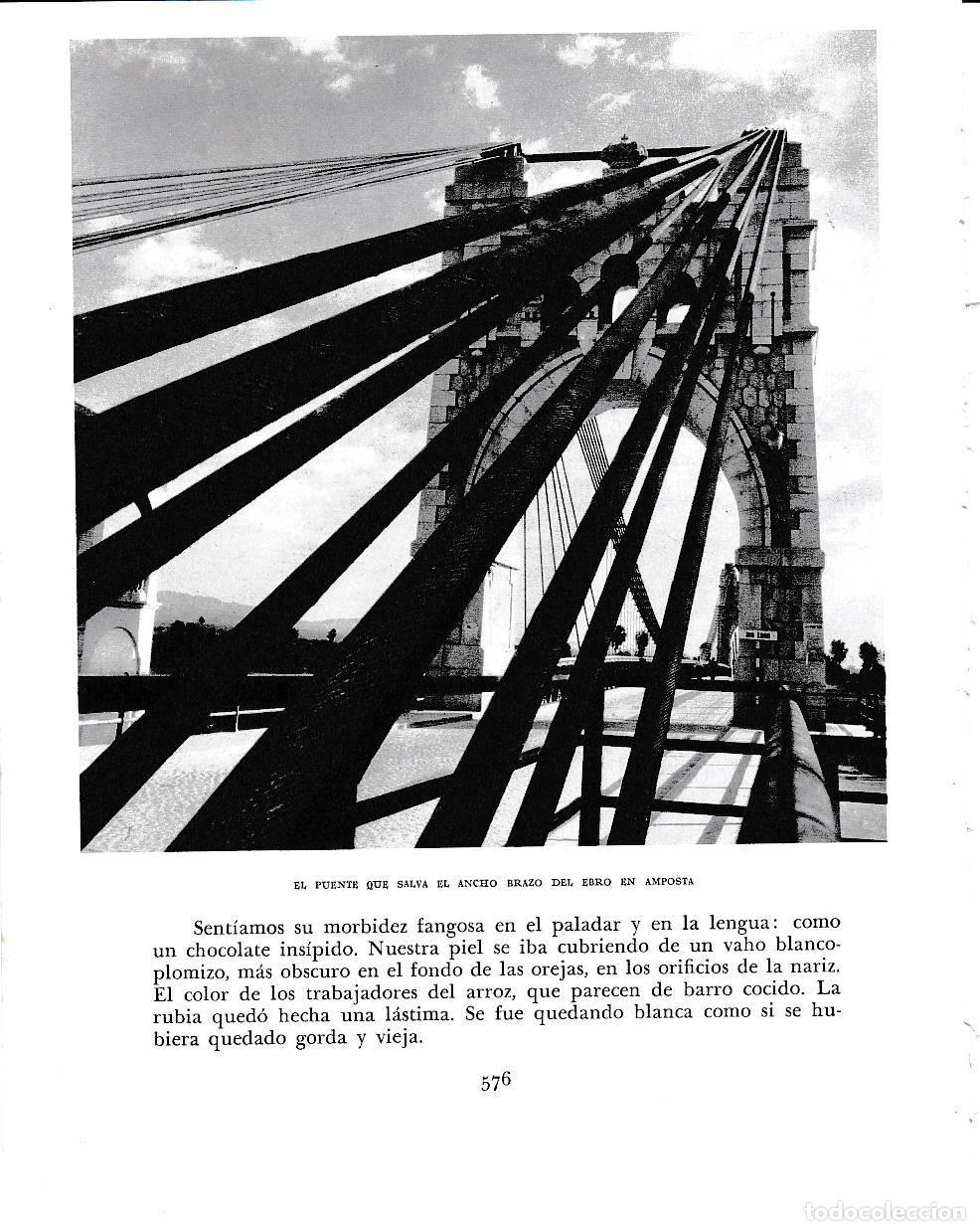 Postales: LAMINA 6561: El puente del Ebro en Amposta - Jose Pla