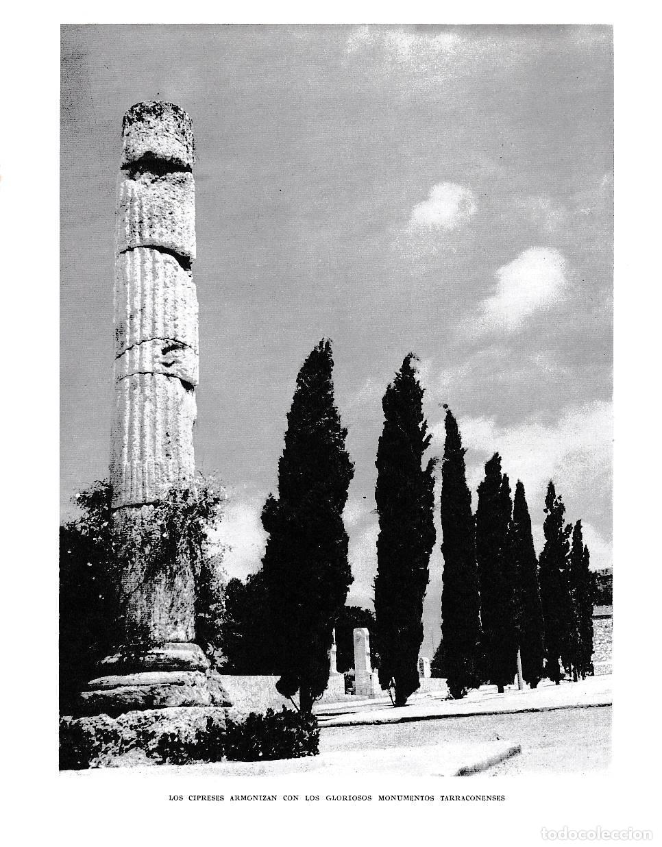 Postkarten: LAMINA 6546: Los cipreses armonizan con los gloriosos monumentos Tarraconenses - Jose Pla