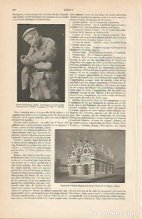 Postkarten: LAMINA ESPASA 8002: Iglesia de la Santa Espina en Pisa Italia - Varios
