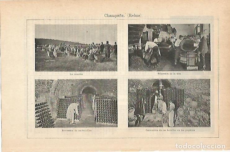 Postkarten: LAMINA ESPASA 14427: Cosecha y bodegas de champan en Reims - Varios