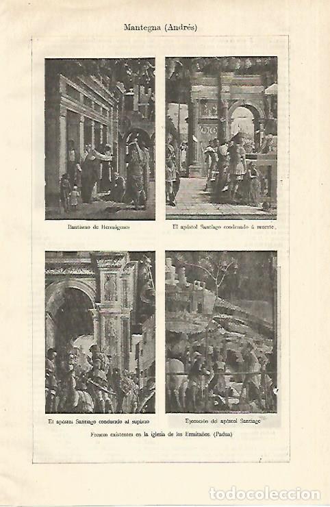 Cartoline: LAMINA ESPASA 18658: Frescos de Mantegna en Padua - Varios