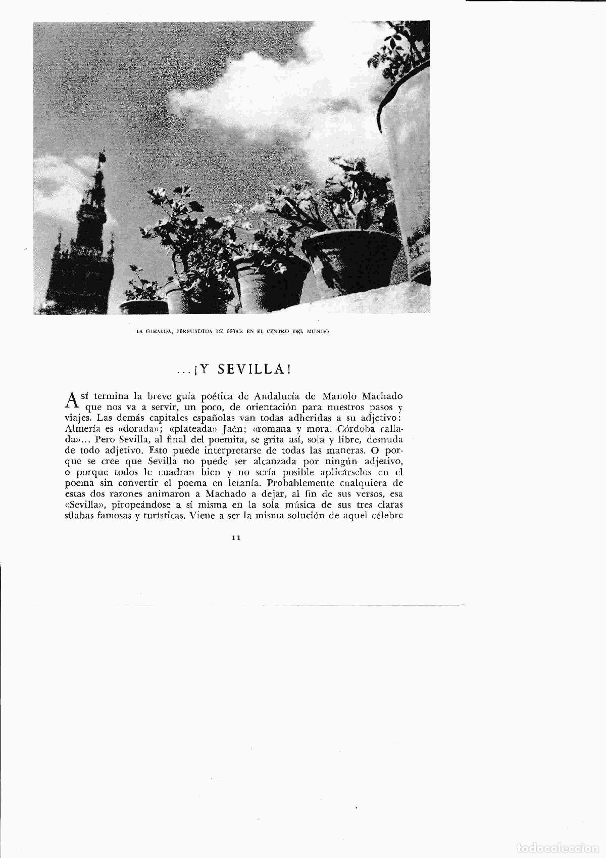 Postales: LAMINA 6318: La Giralda - Jose M&ordf; Peman