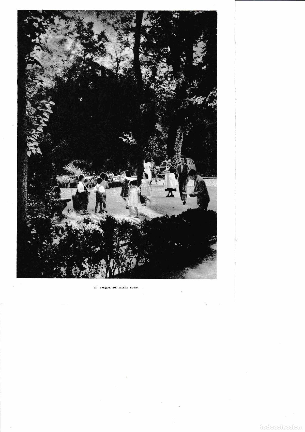 Postales: LAMINA 6359: El parque de Maria Luisa - Jose M&ordf; Peman
