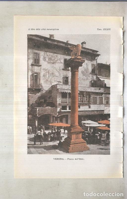 Postais: Lamina 37: Verona: Piazza dell Erbe - varios