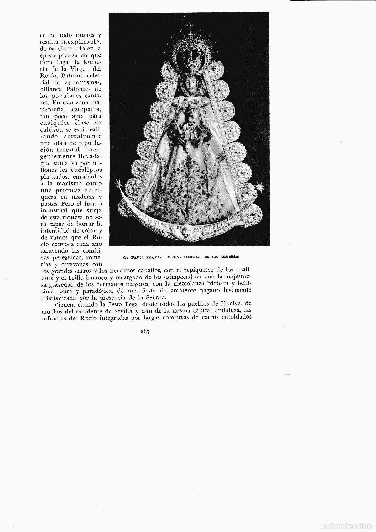 Postales: LAMINA 6425: La Blanca Paloma patrona de Las Marismas - Jose M&ordf; Peman