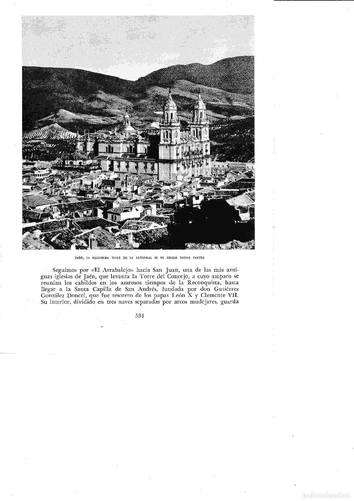 Postkarten: LAMINA 6529: Jaen La Catedral - Jose M&ordf; Peman