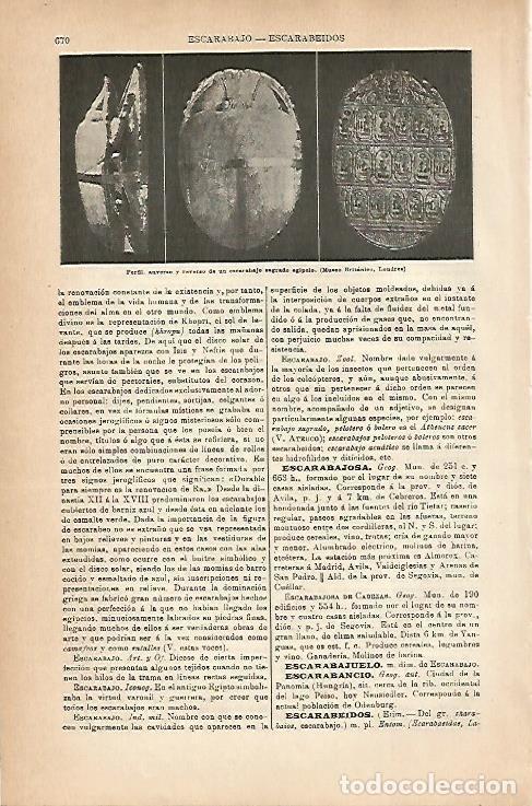 Postales: LAMINA ESPASA 18862: Escarabajo del Antiguo Egipto - Varios