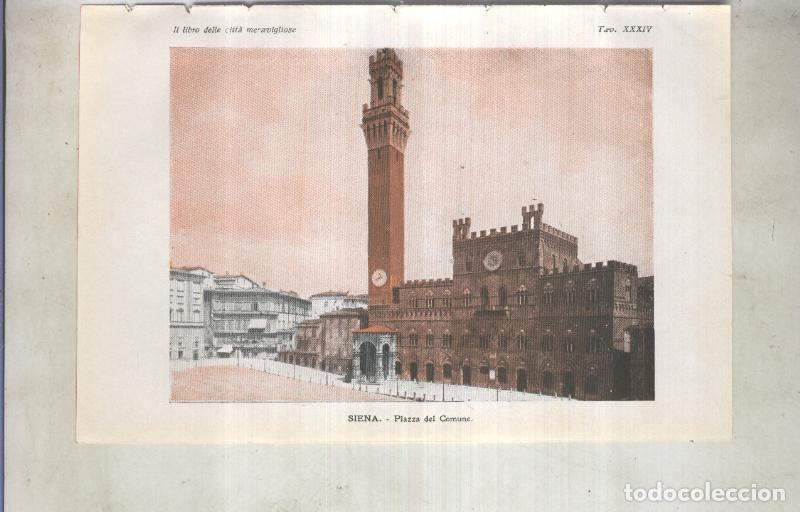 Cartoline: Lamina 34: Siena: Piazza del Comune - varios