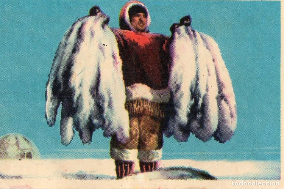 Postales: CROMO Viajando por America del Norte: Numero 61 - Varios