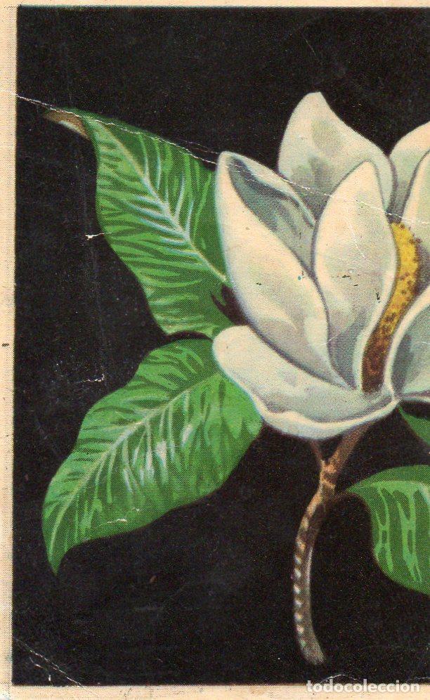 Postales: CROMO Viajando por America del Norte: Numero 106 - Varios