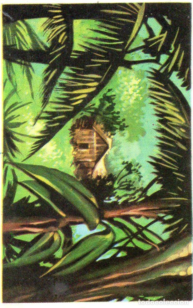 Postales: CROMO Viajando por America del Norte: Numero 261 - Varios