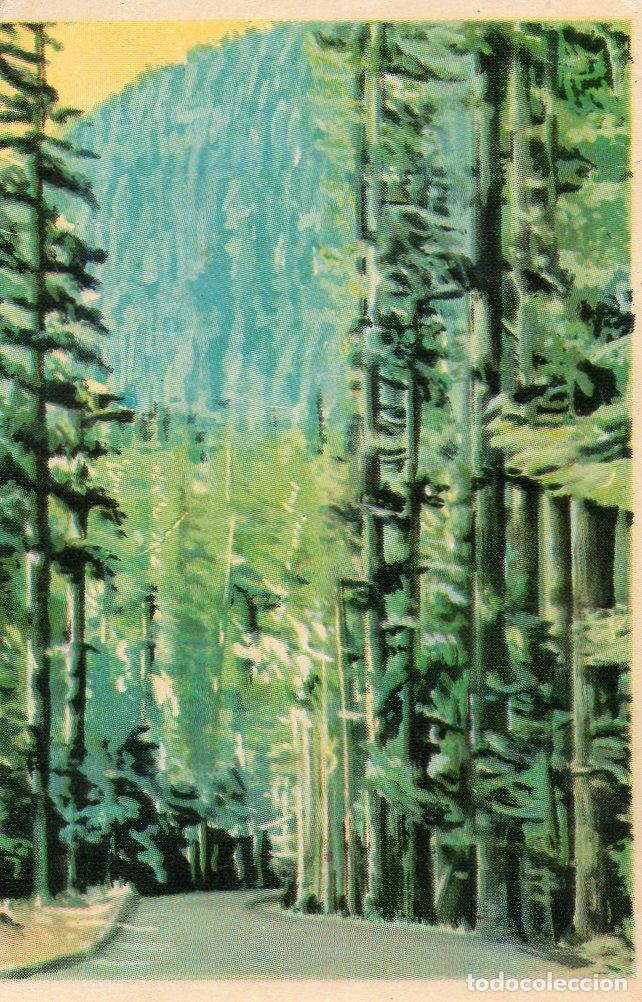 Postales: CROMO Viajando por America del Norte: Numero 70 - Varios