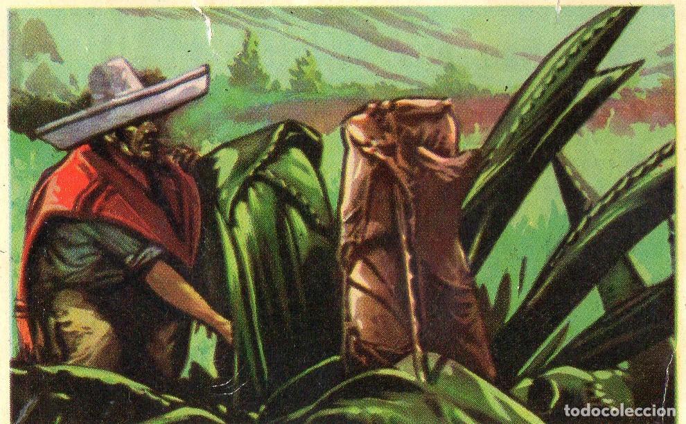 Postales: CROMO Viajando por America del Norte: Numero 1240 - Varios