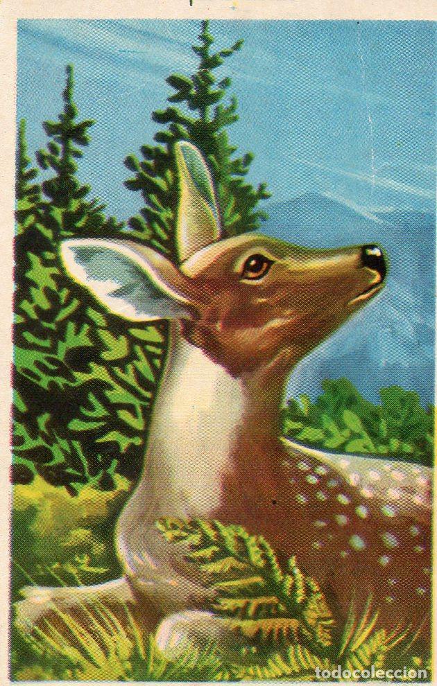 Postales: CROMO Viajando por America del Norte: Numero 95 - Varios