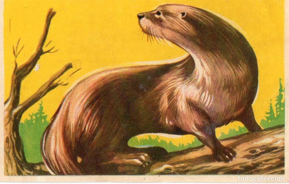 Postales: CROMO Viajando por America del Norte: Numero 11 - Varios