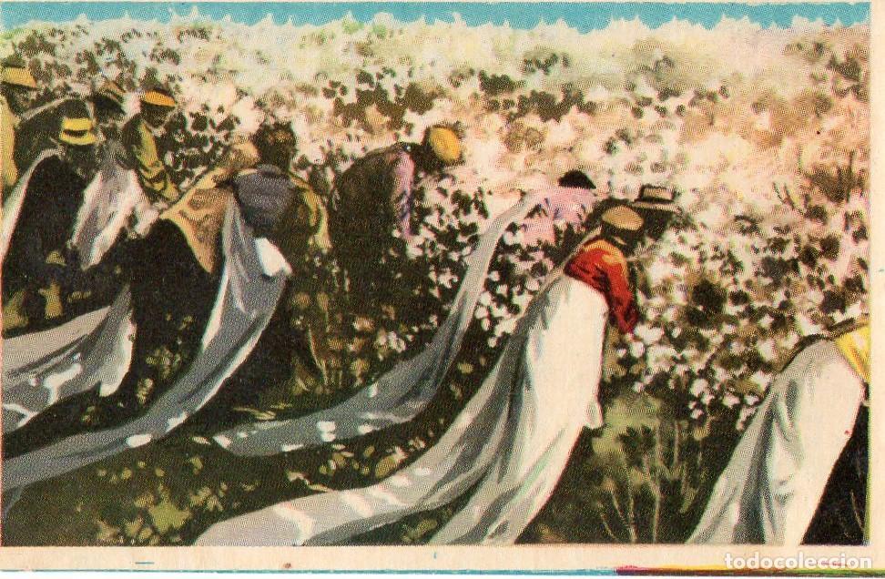 Postales: CROMO Viajando por America del Norte: Numero 161 - Varios