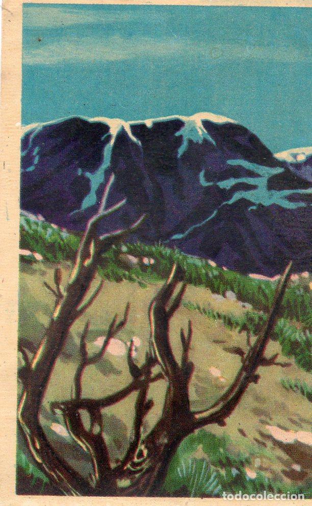 Postales: CROMO Viajando por America del Norte: Numero 144 - Varios