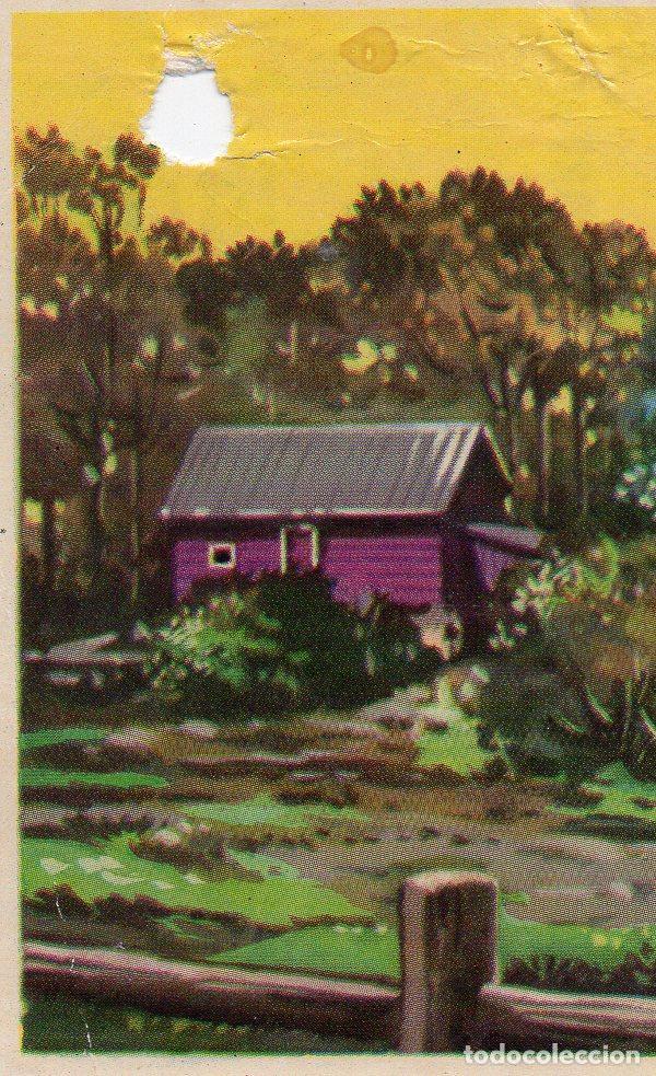 Postales: CROMO Viajando por America del Norte: Numero 59 - Varios