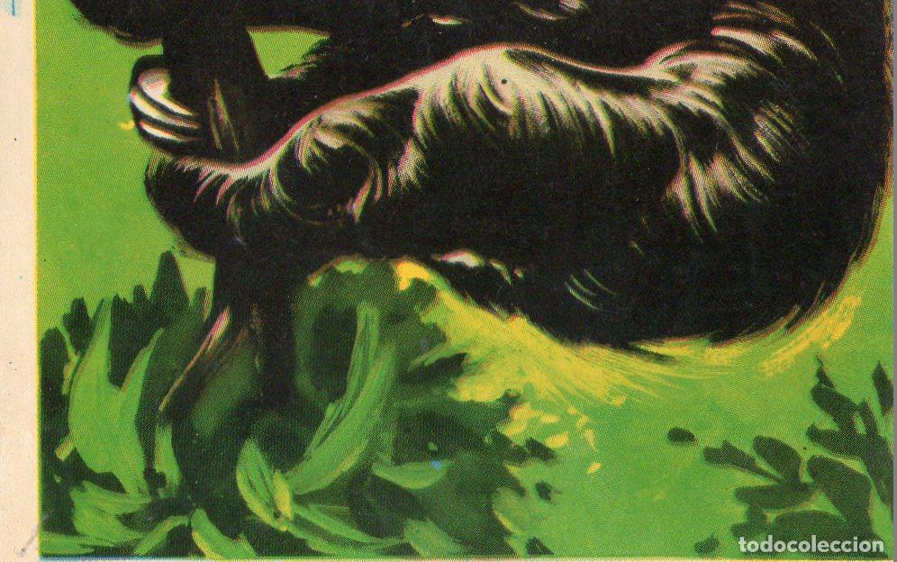 Postales: CROMO Viajando por America del Norte: Numero 237 - Varios