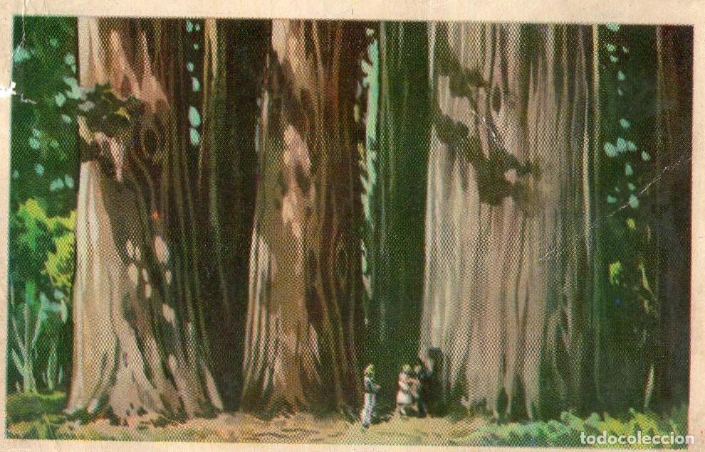 Postales: CROMO Viajando por America del Norte: Numero 97 - Varios