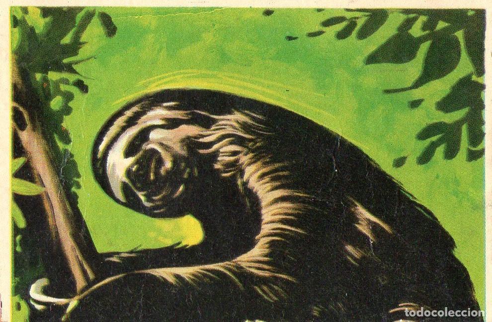 Postales: CROMO Viajando por America del Norte: Numero 238 - Varios