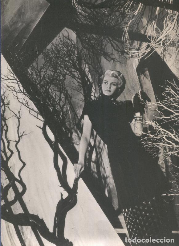 Postales: Lamina 03: Rita Hayworth - Varios