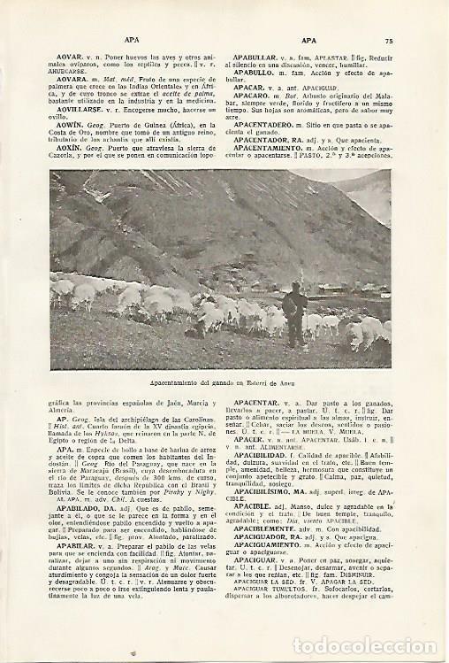 Postales: LAMINA SALVAT 80242: Pastor en Esterri de Aneu - Varios