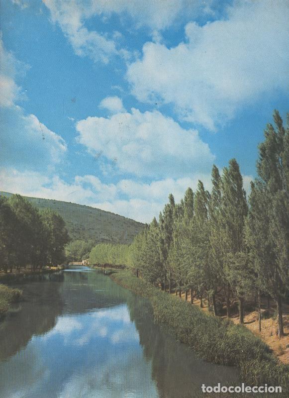 Cartes Postales: Alamos en la ribera del Duero en la provincia de soria - Varios