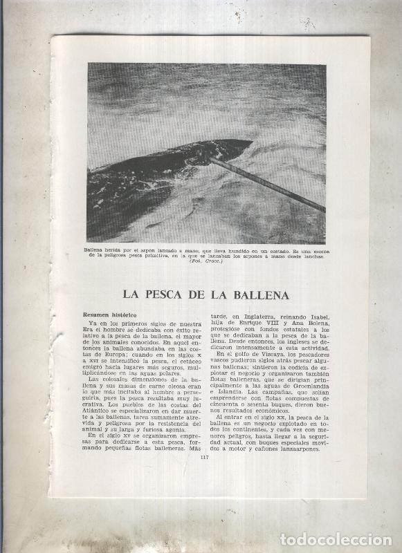 Cartes Postales: La pesca de la ballena - Varios