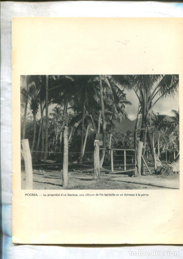 Postales: Tahiti: lamina 15: Moorea: la propiete dun lepreux y Fillettes de la famille dun lepreux