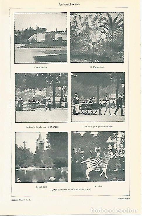 Postcards: LAMINA ESPASA 8031: Jardin Zoologico de Paris - Varios