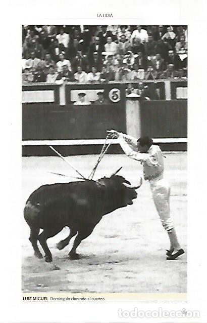 Cartoline: LAMINA COSSIO 50052: Luis Miguel Dominguin - Varios