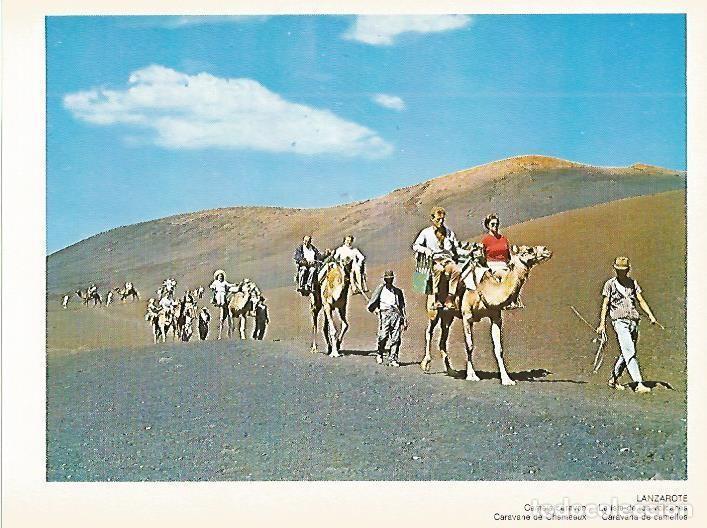 Postais: LAMINA 1696: LANZAROTE. Caravana de camellos - VVAA