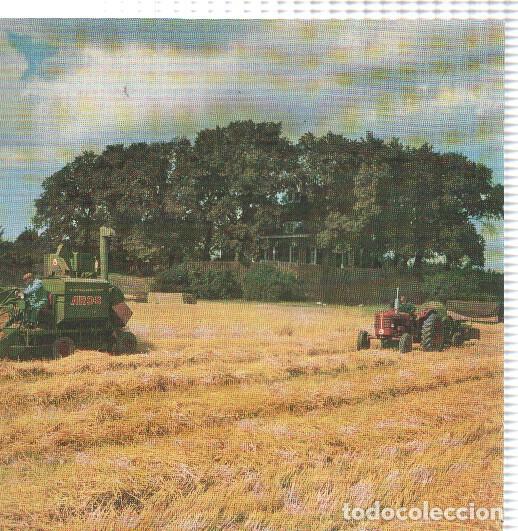 Postales: Hollande: Laminas 27 y 28: Schokland y Paturages avec Vaches par Willem Maris - Freek Van Well
