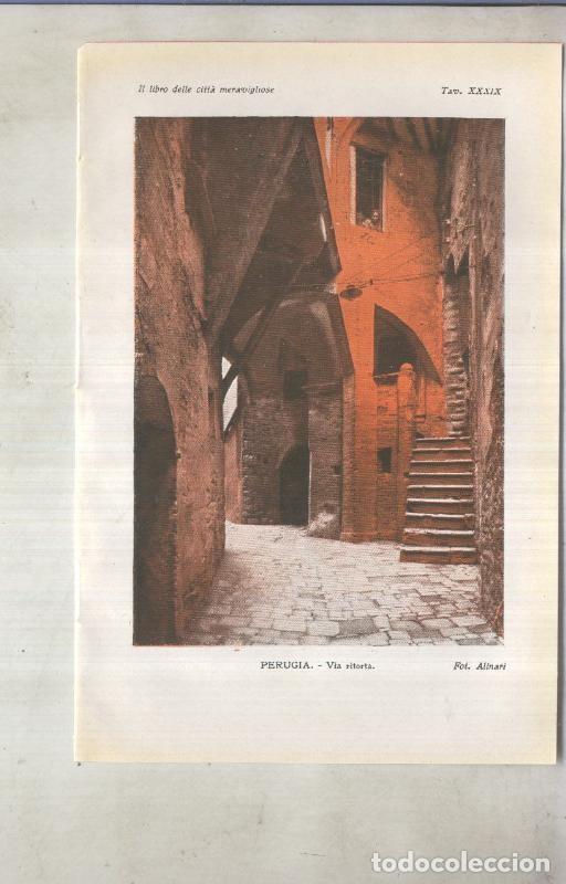 Postais: Lamina 39: Perugia: Via ritorta - varios