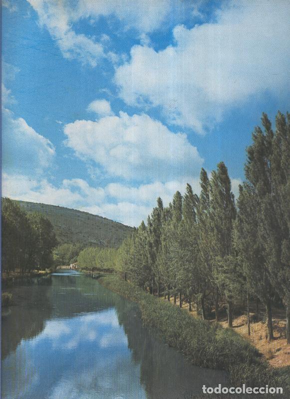 Postkarten: Album Grafico de Espa&ntilde;a lamina 20: Alamos en la ribeda del Duero, Soria - Varios