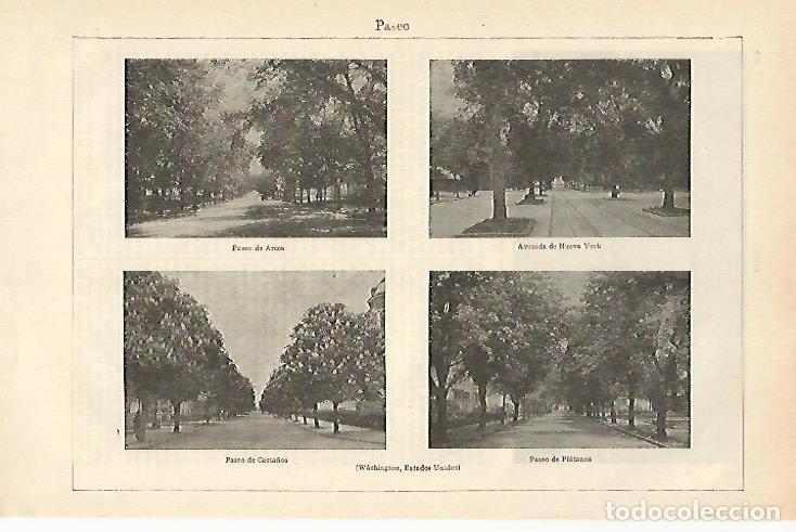 Postais: LAMINA ESPASA 23409: Paseos de Washington Estados Unidos - Varios