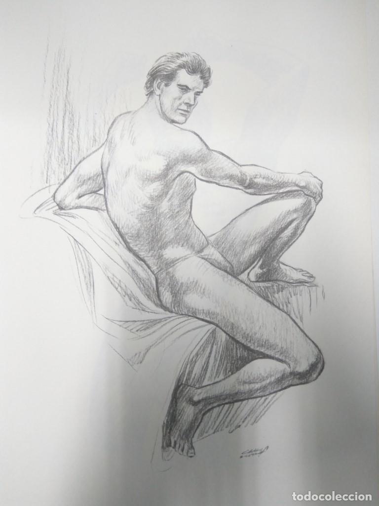 Cartoline: Laminas Carlos Freixas: FIGURA MASCULINA: Numero 07 (Serie Estudios 13) - Carlos Freixas