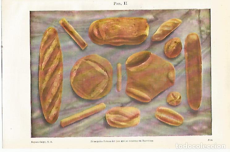 Postais: LAMINA ESPASA 23525: Tipos de pan de Barcelona - Varios
