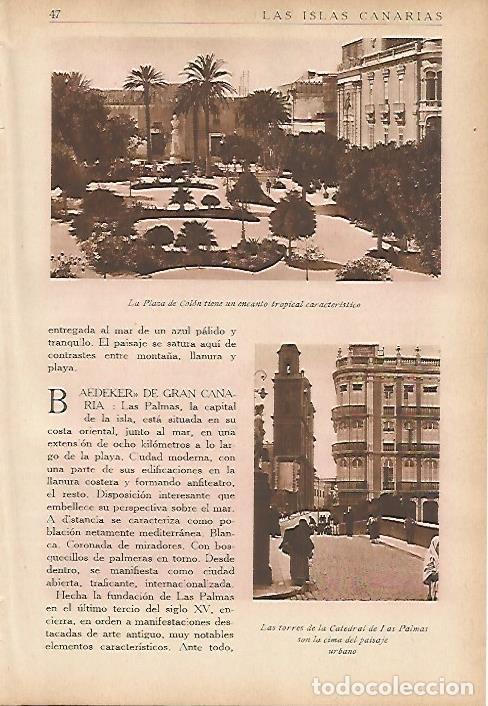 Postales: LAMINA 5459: Plaza de Colon y Catedral de Las Palmas - Jose M Benitez Toledo