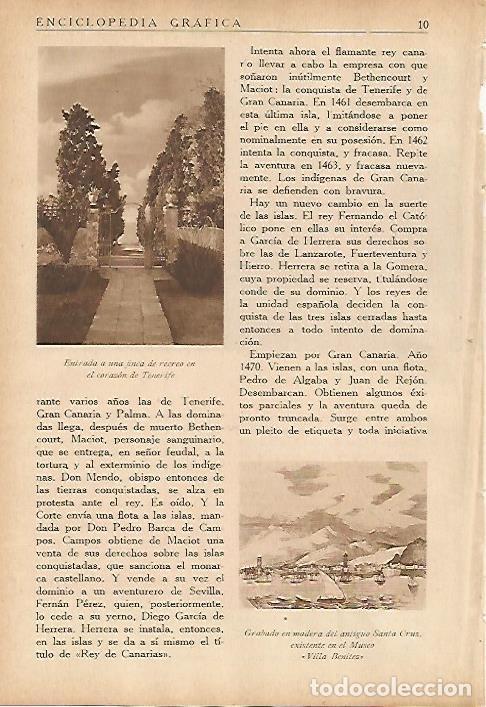 Postales: LAMINA 5440: Entrada a una finca en Tenerife - Jose M Benitez Toledo