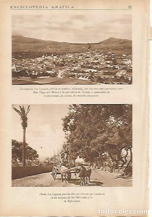 Postkarten: LAMINA 5446: Vegas y bosques de La Laguna - Jose M Benitez Toledo