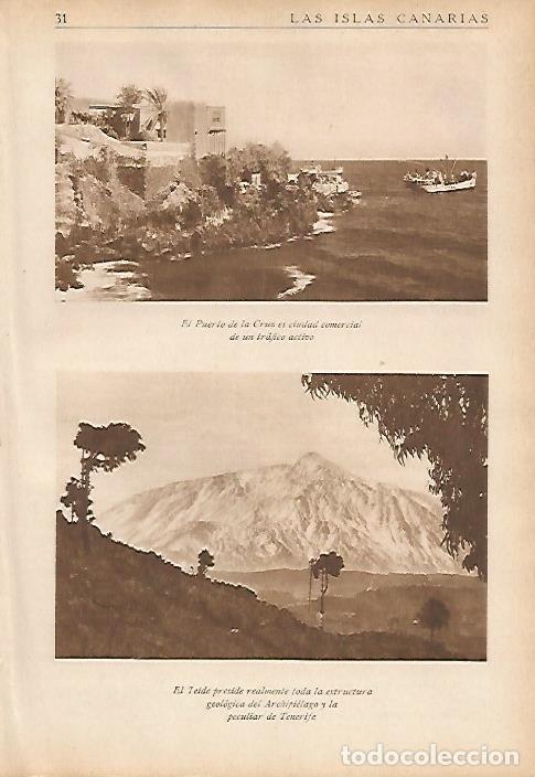 Postcards: LAMINA 5451: Puerto de la Cruz - Jose M Benitez Toledo