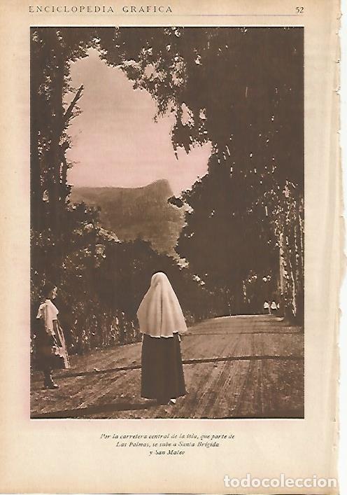 Postales: LAMINA 5461: Carretera a Santa Brigida y San Mateo - Jose M Benitez Toledo